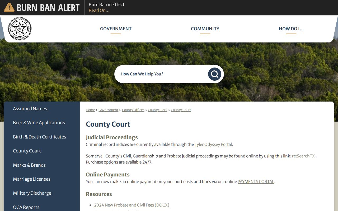 Somervell County criminal court case access on the County Court page